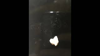 andreApocalypto - Flabbergasted the Mixtape [NEW MUSIC 2019]