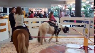 Eva Mitcul. Montreal. Cavendish Plaza. Part 2