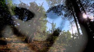 Klang Der Freiheit - Kill Minimal Vol. 1