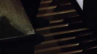 Antonino Buschiazzo - Organ Improvisation
