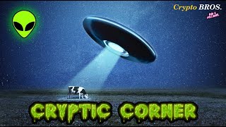 Cryptic Corner #102 - 👽  - Mandela Effect