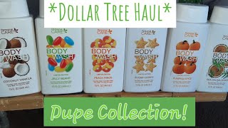 Dollar Tree Haul! Dupes!