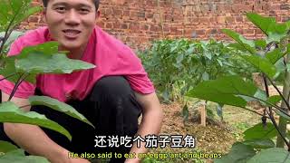 空心菜大丰收，叶子竟然比杆杆好吃，夫妻两吃的停不下来！