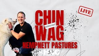 Why George swapped pigs for pastures Chinwag Wednesday with Nempnett Pastures Eps 13