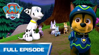 Chase Rescues Marshall and a Bunny Family - 215 - PAW Patrol Full Episode - Cartoons for Kids