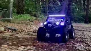4WD Off Road RC Crawler