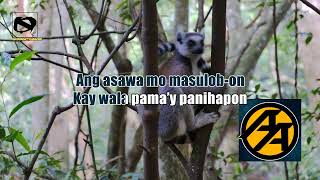 AggressiveAudio - Hoy Maru (Karaoke)