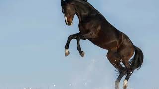 Lil Nas X ft Billy Ray Cyrus old town road remake