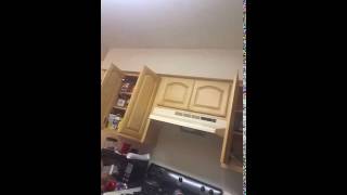 Samuel Fleming's live broadcast