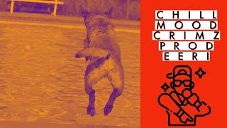CHILL MOOD CRIMZ PROD EERI