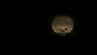Last Nights Sunset and Supermoon (clouds got in the way). 2 Minutes of nature. 4k