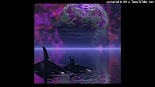 Exodus - New Trancelation