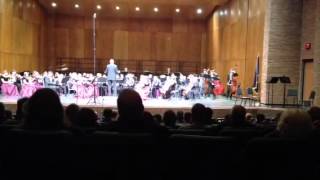 OHMI Orchestra Pre-festival concert