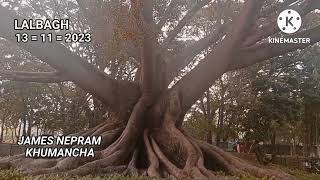 Diwali numitta koiba chatluba