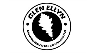 Let's Talk: A Greener You for 2022
