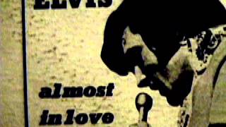STARDOG -  Elvis In My Pelvis