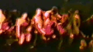 Hot White- Lafayette