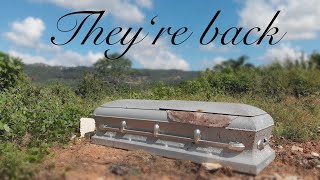 The coffins are back!