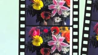 'eMote' photo animation feature examples...