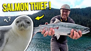 A SEAL STOLE my Salmon! Alaska fishing with 700 HP  HONDA!