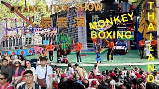 SAFARI WORLD |  ORANG UTAN BOXING SHOW | BANGKOK | THAILAND | M.P.CREATION