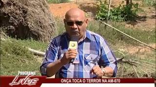 Onça na AM-070