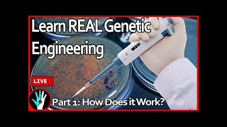 [LIVE] Learn Genetic Engineering - Part 1: How does it work?