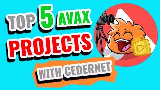 Avax Avalanche Gems and Platypus Finance explained with Cedernet!!!