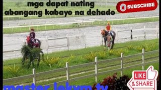 MGA KABAYONG DAPAT NA NATING ABANGAN PANDEHADO By MasterLekym