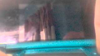 TheImmortalrecon's webcam video April 10, 2011 07:41 AM