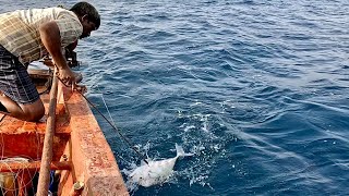 Back to Back Diamond Trevally Caught Using Live Baits