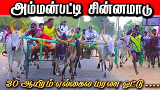 அம்மன்பட்டி-சின்னமாடு-பந்தயம்_22.02.2026 #krish_studio_kattumavadi