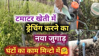 टमाटर खेती में ड्रेचिंग करने का आसान तरीका | टमाटर की खेती | khet khaliyan vlog 🥰