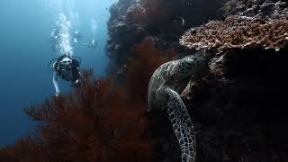 Exploring the blue planet