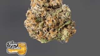 TERPY TIME TASTE BUDS !!!! - NEW DROP !!!! - HONEY BUTTER !!!! - BY - TRADITIONAL #new #2025 #terps 