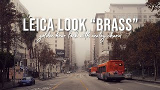 LEICA Q3 43 STREET PHOTOGRAPHY POV | Misty Downtown Los Angeles, Grand Central Market