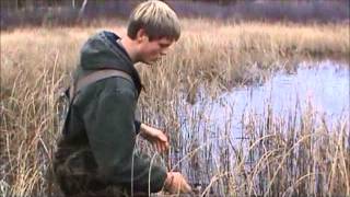 Muskrat and Beaver Trapping