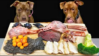 Best of Pitbull Eating Sounds | RAW MEAT | ASMR Compilation