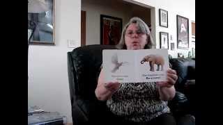 Grandma Little reads: Oink, Moo, Meow by Sterling Childrens Books