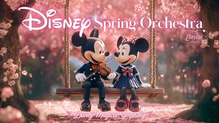 📚 Disney Dark Academia Spring Orchestra 🎻 For Study & Focus 🌸 Magical Sakura Swing