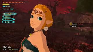 Hyrule Warriors Age of Imprisonment 11.17.25 - saladnsoda