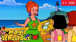Science at the Beach | Full Episodes | The Magic School Bus | Scholastic Classic