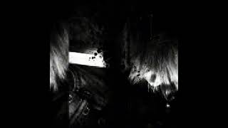 cholorofilm - not enough (slowed + reverb)