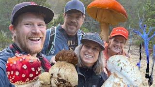 Foraging for Porcini and Matsutake on the Oregon Coast with Modern Forager: Kristen & Trent Blizzard