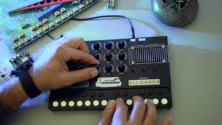 DIY Synthesizer (Arcadia PLL Organ Kit)   Square wave LFO