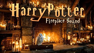 Fireplace & Owl Sounds 🦉Hogwarts Ambience 🏰 Relaxing Magic for Study & Sleep ✨ Harry Potter ASMR