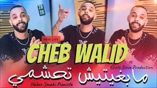 Cheb Walid / مابغيتيش تحشمي ( Galbi Galbi ) live 2026 FEAT HAKOU SMAHI