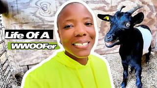 WWOOFing On A Goat Ranch | Day In My Life