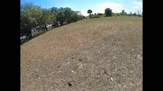 proximity thru the trees chillin flight
