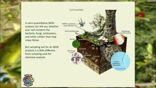 How to Prepare a Soil Sample for a Microbial Density and Diversity (MDD) Analysis